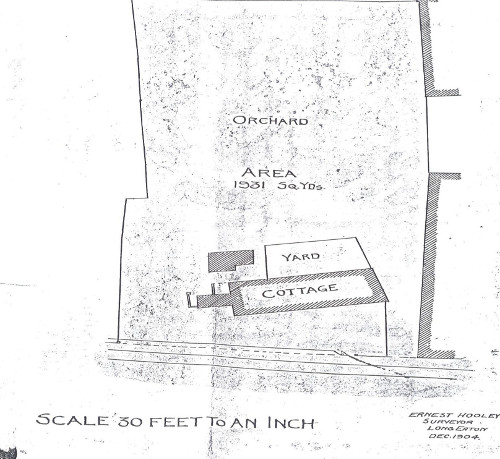 The Site Plan